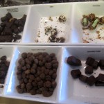 San Francisco Chocolate Salon