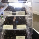 San Francisco Chocolate Salon