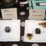 San Francisco Chocolate Salon