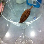 A cocoa pod awaiting its cocktail