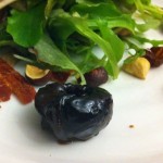 Snails