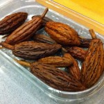 Mini cocoa pods