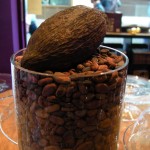 Cocoa Bean display in the centre of the shop