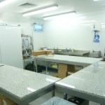 The kitchen