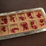 Cranberry pieces in chocolate mould